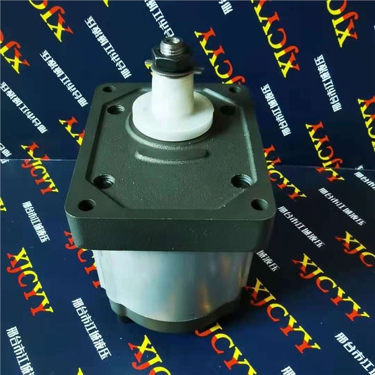 Fiat Tractor Pump 5179730