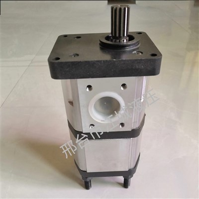 Bơm bánh răng thủy lực 4212880 4212879 dùng cho máy kéo Landini